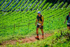 BIB: 
                            <button type="button" onclick="openModal(19163374)" class="btn btn-primary btn-sm float-right btn-popup" data-toggle="modal" data-target=".modal-high-quality">
                        <i class="fas fa-shopping-cart"></i> Add to Cart
                    </button>
                                            <button type="button" onclick="isThisMe(19163374, true)" class="btn btn-success btn-sm float-right btn-popup btn-isme hidden" data-toggle="tooltip" data-placement="bottom" title="นี่คือรูปของคุณใช่ไหม คลิกที่นี่เพื่อเอาเข้าอัลบั้ม">
                        <i class="fas fa-plus"></i> Add to album
                    </button>
                    <button type="button" onclick="isThisMe(19163374, false)" class="btn btn-warning btn-sm float-right btn-popup btn-isnotme hidden">
                        <i class="fas fa-ban"></i> Remove from album
                    </button>